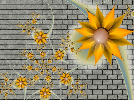 742345 (a): :2048x1536